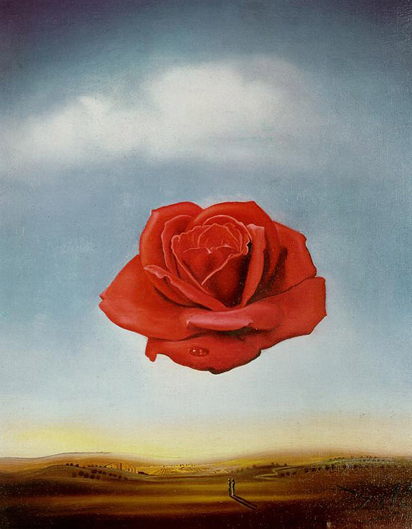 Photo:  Meditative Rose, 1958